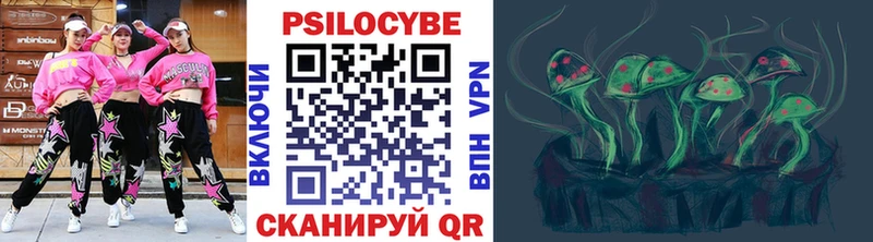 Псилоцибиновые грибы Psilocybine cubensis  закладки  Чкаловск 